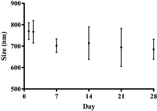 Figure 9. Stability of naringenin-loaded liposomes as determined by size. Size of naringenin-loaded liposomes formulated with 0-10% w/w Tween 20, using DLS, formulated with up to 10% w/w Tween 20 measured on various days (1, 7, 14, 21, and 28). Data represent mean ± SD. n = 6 independent batches.