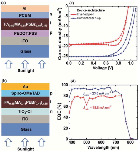 Figure 10. Different substrate architecture and their effect on FAI-based perovskite solar cell performance; (a) PEDOT.PSS based hole transport layer based substrate architecture, (b) TiO2-Cl hole transport layer based substrate architecture. (c) and (b) are the performance measurements (Adjokatse et al., Citation2019)