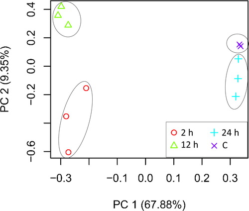 Figure 1. Principal component analysis (PCA) based on transcriptomic data of control (C) and salt stressed (500 mmol/L NaCl) samples across different time points (e.g. 2, 12 and 24 h) in leaves of H. spontaneum.
