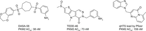 Figure 1 Representative chemical structures of previously reported hPKM2 activators.