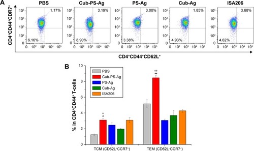 Figure 8 Frequency of central (CD62L+CCR7+)/effector (CD62L−CCR7−) memory CD4+CD44+ T-cells.Notes: Mice were immunized with PS-Ag, Cub-Ag, Cub-PS-Ag, and ISA206. FACS plots in (A) are representative of the mean percentages of three mice in each group. The frequency of (B) CD4+CD44+CD62L+CCR7+ T-cells (TCM) and CD4+CD44+CD62L−CCR7− T-cells (TEM) were measured by flow cytometry. Data are expressed as the mean ± SEM. *P<0.05 and **P<0.01 vs the PS-Ag group, while #P<0.05 and ##P<0.01 vs Cub-Ag group.Abbreviations: Ag, antigen; CCR, C-C motif chemokine receptor; CD, cluster of differentiation; Cub-Ag, mixture of cubosomes and Ag; Cub-PS-Ag, mixture of cubosome-polysaccharide nanoparticles and Ag; FACS, fluorescence-activated cell sorting; PBS, phosphate-buffered saline; PS-Ag, mixture of PS and Ag; TEM, effector memory T-cells; TCM, central memory T-cells; SEM, standard error of the mean.