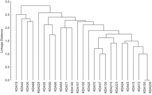Figure 3 Cluster analysis of eight different groups of cultured and wild Cirrhinus mrigala.