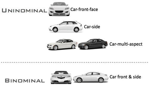 Figure 6. The type of used stimuli.