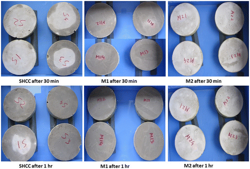 Figure 7. Water gains at different time by different SHCC and mortar specimens in CWA test.