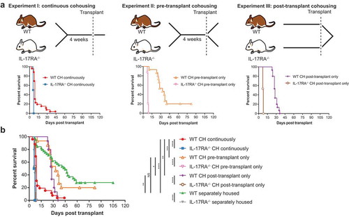 Figure 1. Continuous cohousing accelerates GVHD in WT mice post-transplant.