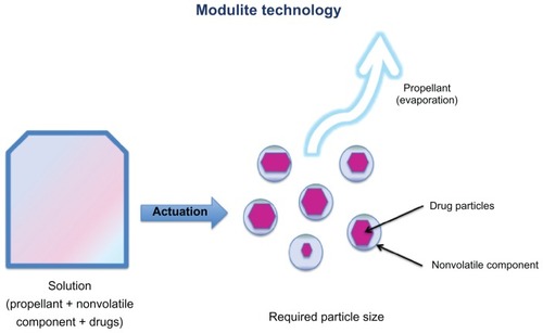 Figure 2 Description of the Modulite® technology (see text for details).