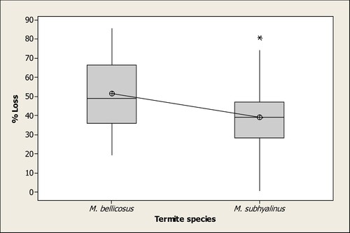 Figure 1. Percentage wood loss (data pooled) by two termite species Macrotermes bellicosus and M. subhyalinus over a 6-week exposure to Eucalyptus dry stakes in Uganda (*significantly different at p < 0.000).