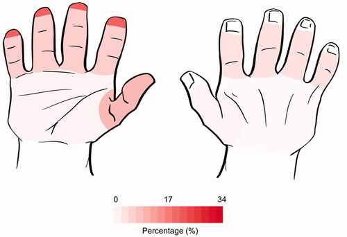 Figure 10. Frequency map of hand segments used in face-touching.