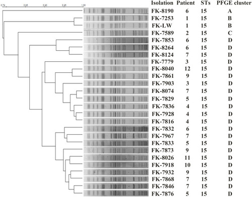Figure 2 PFGE and MLST typing of 26 OXA-232-producing CRKP isolates. PFGE and MLST typing of 26 OXA-232-producing CRKP isolates. Genomic DNA from each research strains was digested using Xba I and the digests were subjected to PFGE to generate diagnostic genomic DNA fragmentation fingerprints. The dendrogram of the PFGE profiles was clustered by the UPGAMA on the basis of the Dice similarity by the Quantity One software package 4.6.