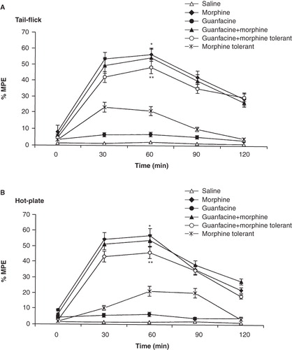 Figure 2. Effects of guanfacine (0.5 mg/kg; i.p.) on morphine analgesia and tolerance in tail-flick (A) and hot-plate (B) tests. Each point represents the mean ± SEM of percent of maximal possible effect (% MPE) for 7 rats. *p < 0.01 compared to saline group, **p < 0.05 compared to morphine-tolerant group.