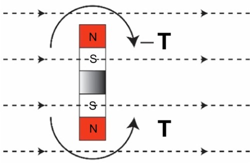Figure 4 Two permanent magnets with opposing poles in the same rigid body, such as in the transducer, will establish a balance that eliminates the total magnetically induced torque, T (solid lines) when it is exposed to the static magnetic field (dashed lines).