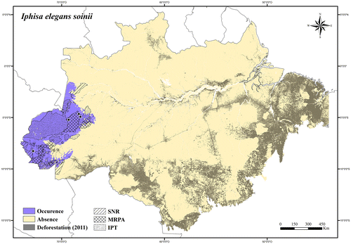 Figure 47. Occurrence area and records of Iphisa elegans soinii in the Brazilian Amazonia, showing the overlap with protected and deforested areas.