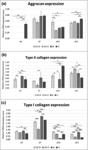 Figure 8. Gene expression on markers of chondrogenic differentiation. The expression of markers of hyaline cartilage production – aggrecan (a) and type II collagen (b) and marker of dedifferentiation – type I collagen (c) were detected on the 3D St, 3D Cl, St and Cl samples on days 1, 7, 14, and 21. All samples were scaled relative to the median of the GAPDH expression level, which was used as an endogenous control gene (*p<0.05, **p<0.001).