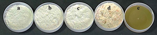 Figure 1. Digital images of the powders obtained after the spray drying process: (a) OJ–Mc, (b) OJ–M10, (c) OJ–M20, (d) OJ–M40 and (e) OJ.Figura 1. Imágenes digitales de los polvos obtenidos después del proceso de secado por aspersión: A) OJ-Mc, b) OJ-M10, c) OJ-M20, d) OJ-M40 y e) OJ.