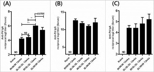 Figure 4. Long-lasting Pd-specific IgA antibody responses in feces. The Pd specific fecal IgA (A), serum IgG (B) or serum IgA (C) titer at 12 weeks after the final boost immunization. The results are presented as the mean ± SEM, and statistical significance was determined by Student's t-test: * p<0.05; ** p<0.01; *** p<0.001; NS, not significant; and ND, not detected.