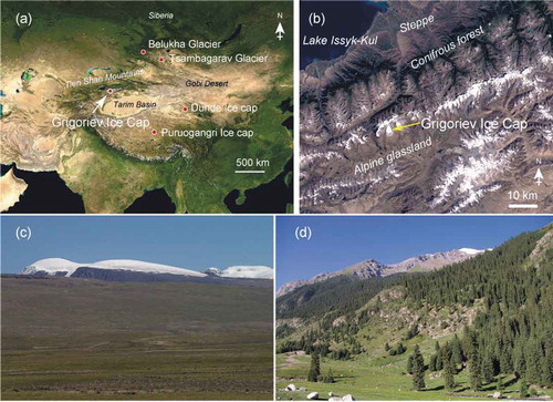 Figure 1. Location map (a) and satellite image (b) of the Grigoriev Ice Cap in Kyrgyz Republic, central Asia. The location map is from a global map provided by NASA earth observatory. The satellite image was acquired on August 25, 2001, by Landsat 7 Enhanced Thematic Mapper Plus. Photographs of the dominant vegetation near the glacier include alpine grassland (c) and coniferous forest (d). Images: (a) and (b): NASA; (c) and (d): author Nozomu Takeuchi.