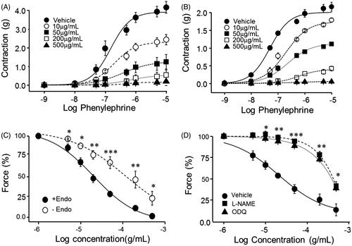 Figure 2. Endothelium dependence of PCE-induced vasorelaxation of Phe-contracted, isolated rat aortic rings. (A, B) Different concentrations of PCE were added to endothelium-intact (A) or -denuded (B) aortic rings 30 min prior to performing cumulative Phe concentration–response studies. (C) PCE concentration dependent relaxation was measured in endothelium-intact and -denuded rat aortic rings pre-contracted with 10 µM Phe. (D) Effects of eNOS and GC inhibition on PCE-induced vasorelaxation of Phe-pre-contracted rat aortic rings. Rings were pretreated for 30 min with the non-specific NOS inhibitor, l-NAME (50 µM) or the GC inhibitor ODQ (20 µM) prior to pre-contracting with Phe. Data are means ± SEM of the relaxing effect, expressed as a percentage of the maximum Phe contraction (n = 6–8; *p < 0.05, **p < 0.01, ***p < 0.001).