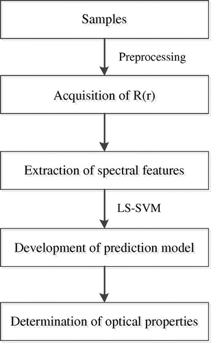 Figure 3. Flowchart of the model development for predicting optical properties.