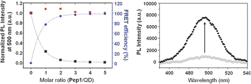 Figure 5. (Left) Normalized QD PL intensity at 500 nm in arbitrary units (a.u.) depending on the molar ratio of Pep1 to QD 1 (black square) and the corresponding FRET eﬃciency (blue circle); the red square indicating QD PL in the presence of an equivalent amount of free dabcyl dye. (Right) Increase of QD PL after HIV-1 PR digestion of the QD–Pep1 complex 2 in the acetate buﬀer (pH 4.5) (CitationChoi et al. 2010).