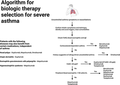 Figure 2 Algorithm for biologic therapy selection for severe asthma. Created with BioRender.com.