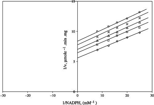 Figure 4 Lineweaver-Burk double reciprocal plot of initial velocity against NADPH as varied substrate and CaCl2 (0.8–1.6 mM) as inhibitor at different fixed GSSG (0.7 mM) concentrations. ⋄ 0.7 mM GSSG (constant); □ 0.8 mM CaCl2; Δ 1 mm CaCl2; *1.2 mM CaCl2; ○ 1.6 mM CaCl2.