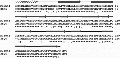 Figure 1. Sequence alignment of human receptor and -AChBP chimeric structure.