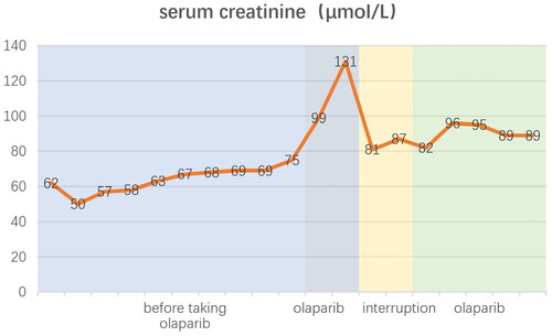 Figure 1. Serum creatinine levels of the patient.