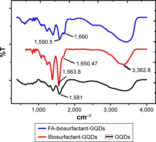 Figure 5 FTIR spectrum of GQDs, biosurfactant-GQDs conjugate, and FA-biosurfactant-GQDs conjugate.Abbreviations: FA, folic acid; FTIR, Fourier-transform infrared spectroscopy; GQDs, graphene quantum dots.