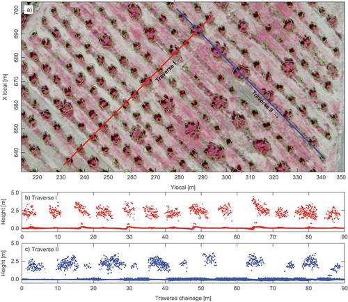 Figure 10. Part of the study area: (a) crown contours obtained with α = 1.80 over near-infrared spectrum orthophotomap, (b) and (c) normalized ALS point cloud along two 5 m wide traverses.