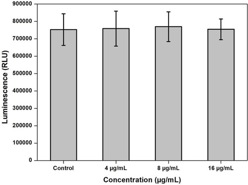 Figure 1 Cellular viability as assessed by the CellTiter-Glo® luminescent cell viability assay. Cellular viability was determined in WS1 cells treated with different concentrations of G-AgNPs (4, 8 and 16 μg/mL). Untreated cells were used as a control and analysed 48 h post-treatment.