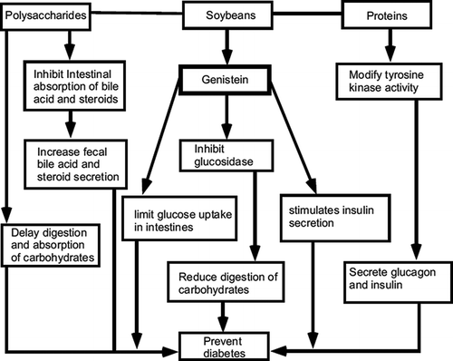 Figure 4 Mechanisms involved in the prevention of diabetes.