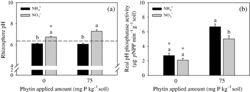 Figure 2. pH (a) and real pH phosphatase activity (b) in the rhizosphere soil supplied with different N forms. The broken line (in Figure a) represents the initial pH of the soil. Different letters indicate significant differences (t-test, P < 0.05) between the two N forms at the same phytin amount. The asterisks indicate significant differences (t-test, P < 0.05) between two phytin amounts at the same N form. Bars represent mean + SE (n = 4).