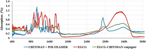 Figure 4 FTIR absorption spectra recorded in the region of 900–4500 cm−1 of (light blue) chitosan/poloxamer (red) EGCG (green) EGCG/chitosan conjugation.