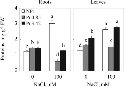 Figure 3. Proteins contents in roots and leaves of tomato. Plants were grown as described in the legend of Figure 1. Mean of six plants and confidence interval for P = 0.05. Mean values with the same letter in each panel are not significantly different at P = 0.05 (ANOVA and mean comparison with Newman-Keuls post hoc test).
