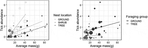 Figure 5. Tick abundance as a function of average mass for a given bird species, coded by nesting location (ground versus shrub versus tree, left) and coded by foraging group (ground versus tree, right). Cavity nesting birds (N = 3) were removed from these plots but did not affect the results of regression analysis. Data points are scaled relative to the number of observations per species.