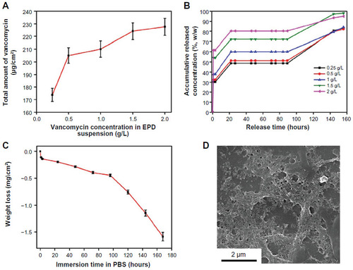 Figure 3 Characteristics of vancomycin-loaded chitosan coating.