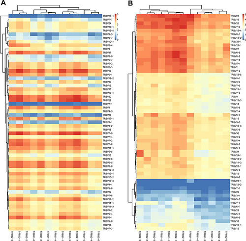 Figure 4 Profile of TRBV/BJ combination in HepB vaccine responders and non-responders. (A) Heat map of V-J gene combinations for the HepB vaccine responders, and (B) non-responders from IMGT/Stat clonotype analysis shows there are some different V-J gene combinations between the two groups. Such as, the 60 TRBV families are obviously clustered into four groups in non-responders, and the 13 TRBJ families are obviously divided into two groups, which both are not found in responders.