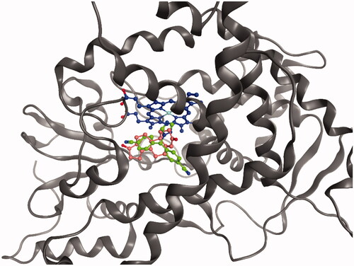 Figure 6. Superimposed binding mode of ASD (salmon) and LTZ (green) in the aromatase active site. The haem group is shown in blue.