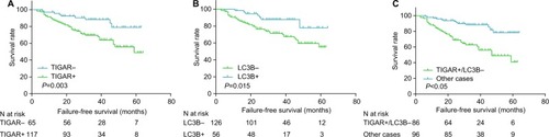 Figure 4 Correlation of TIGAR and LC3B expressions with FFS time.Notes: (A) Correlation between TIGAR expression and FFS; (B) correlation between LC3B expression and FFS; (C) correlation between TIGAR and LC3B expressions and FFS.Abbreviations: FFS, failure-free survival; LC3B, microtubule-associated protein 1 light chain 3; TIGAR, TP53-induced glycolysis and apoptosis regulator.