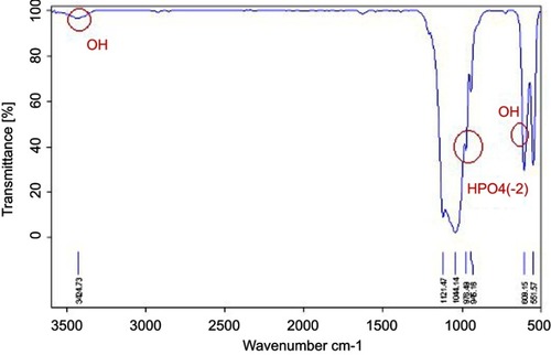 Figure 2 FTIR pattern of beta-tricalcium phosphate and hydroxyapatite.Abbreviation: FTIR, Fourier Transform Infrared Spectroscopy.