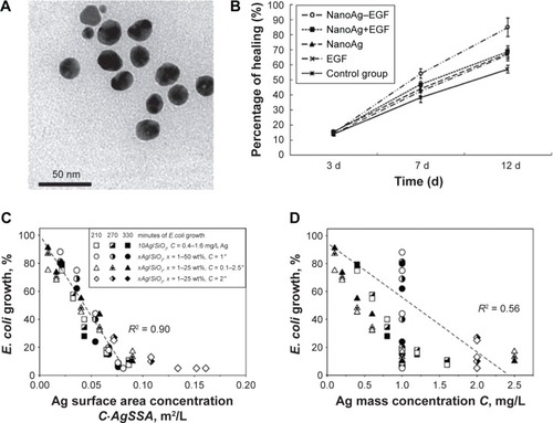 Figure 2 (A) TEM image of the silver nanoparticles (magnifcation ×500,000). (B) Comparison of the wound-healing rate in each group at 3, 7 and 12 days post-trauma. EGF, epidermal growth factor. (C) The extent of E. coli growth of all data at 210, 270 and 330 min as a function of the silver surface area concentration C. AgSSA.; (D) The extent of E. coli growth of all data at 210, 270 and 330 min as a function of the silver mass concentration C in suspension.Notes: (A) and (B) Copyright ©2013. Dove Medical Press. Adapted from Zhou JD, Wang SH, Liu R, et al. Study of the biological effectiveness of a nanosilver-epidermal growth factor sustained-release carrier. Exp Ther Med. 2013;5(4):1231–1235.Citation103 (C) and (D) Reprinted from Chemical Engineering Journal, vol 2–3, Sotiriou GA, Teleki A, Camenzind A, Krumeich K, Meyer A, Panke S, Pratsinis SE, Nanosilver on nanostructured silica: antibacterial activity and Ag surface area, pages 547–554, Copyright (2011), with permission from Elsevier.Citation116Abbreviation: TEM, transmission electron microscopy.