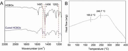 Figure 2. A) FTIR spectra of HCBOs before and after curing. B) DSC thermograms of HCBOs