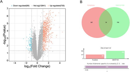 Figure 2 Identification of pyroptosis-related DEGs. (A) The volcano map of GSE157159. (B) The Venn diagram shows the intersection between pyroptosis-related genes and DEGs.