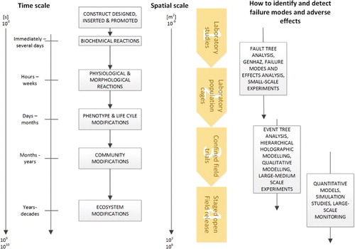 Figure 2. Spatial and temporal scales of outcomes associated with the phased test and release pathway of Gene Drive Modified Organisms. As a GDMO progresses through the test and release pathway (phases 1 to 4 in yellow) the spatial and temporal scale of experimental outcomes, and potentially adverse outcomes, increases. The techniques used to identify hazards and detect potential adverse ecological outcomes vary as these spatio-temporal scales change.