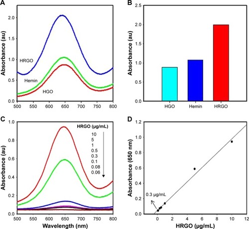 Figure 4 TMB response signals in response to different HRGO concentrations.Notes: (A) Absorption spectra of the TMB reaction catalyzed by HGO, hemin, and HGRO. (B) The catalytic activity of the three materials was compared by a histogram. (C) Absorption spectra of the TMB reaction catalyzed by different concentrations of HRGO. (D) HRGO still shows a significant reaction signal at 0.3 µg/mL. The signal to noise ratio is larger than 3.Abbreviations: HGO, hemin functionalized graphene oxide; HRGO, hemin reduced GO; TMB, tetramethylbenzidine.