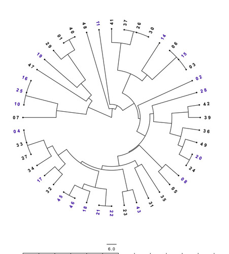 Figure 5 ERIC-PCR analysis of the tested MRSA isolates. Unweighted pair group method using arithmetic overage algorithm (UPGMA) clustering method, showing the genetic similarity among MRSA isolates by enterobacterial repetitive intergenic consensus (ERIC) genotyping. Radial dendrogram, in decreasing nodes order, was generated with FigTree v1.4.4. Blue labels represent the colonizing isolates and black labels represent the infectious isolates.