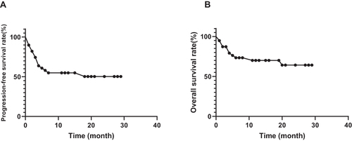 Figure 5 Kaplan–Meier curves for progression-free and overall survival of all patients with PCNSL.