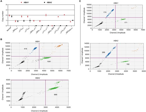 Figure 2. Ratio of copy number of HBA1 and HBA2 in different genotypes. (a) Copy number for HBA1 and HBA2 in different deletional α-thalassemia. (b and c) Individuals with –THAI compounded with -α3.7 deletion (b) and heterozygous for αααanti4.2 (c). Blue droplets indicate positive HBA1 or HBA2, while green droplets represent RPP30.