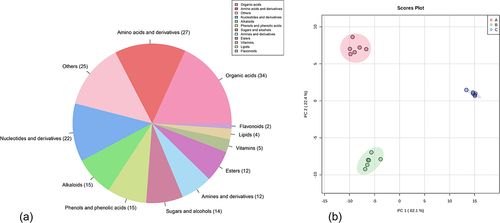 Figure 2. Comprehensive quality control of metabolite analysis. (a) classification and proportion of total 187 metabolites detected in pepino fruits; (b) metabolite principal component analysis (PCA) among samples of pepino fruit at different stages.
