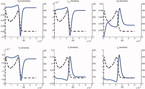 Figure 4. Normalized sensitivity functions (solid lines) of the parameters and initial conditions of interest and r m (dashed lines).